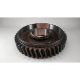 4303945 - Engrenagem da 2ª Vel. do Eixo Principal