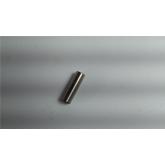 3341142 - Pino Trava dos Varões