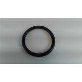 14621 Anel Oring